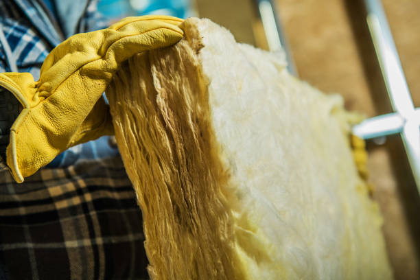 Best Insulation Installation Services in Mount Pleasant, IA